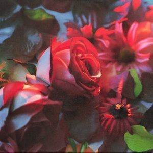 Meet your Posher, Leslie